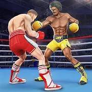Punch Boxing Game Ninja Fight apk