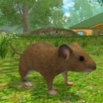 Mouse Simulator Forest Home APK