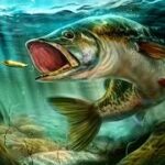 Ultimate Fishing Simulator APK